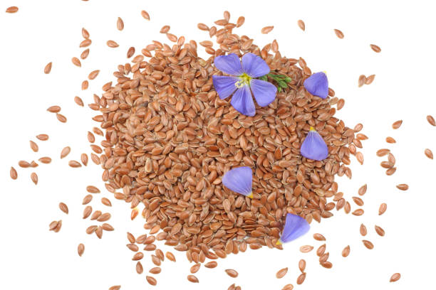 istock flax seeds with flower isolated on white background. flaxseed or linseed. Cereals. top view 997138280
