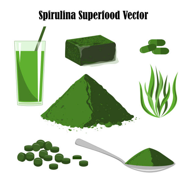 スピルリナの superfood ベクトルを設定 - seaweed spirulina bacterium algae food点のイラスト素材／クリップアート素材／マンガ素材／アイコン素材