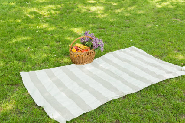 Ready for picnic, blanket and food basket in the park stock photo
