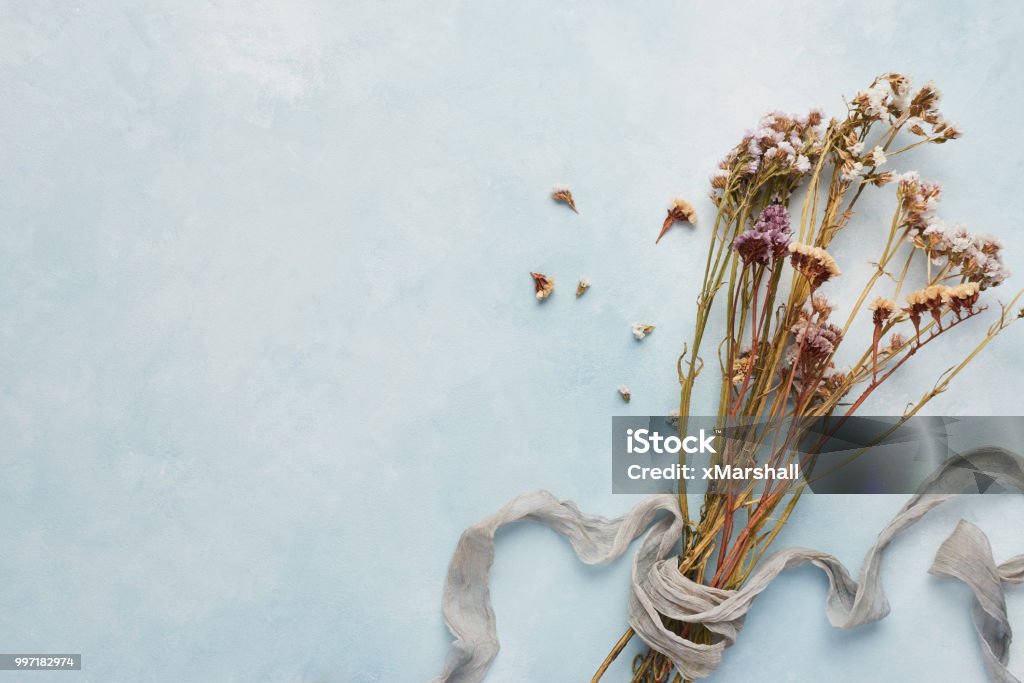 Feminine Concept Of Light Blue Background With Dried Wildflowers