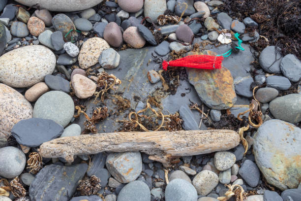 A rocky beach on the Atlantic coast with natural and unnatural debris.