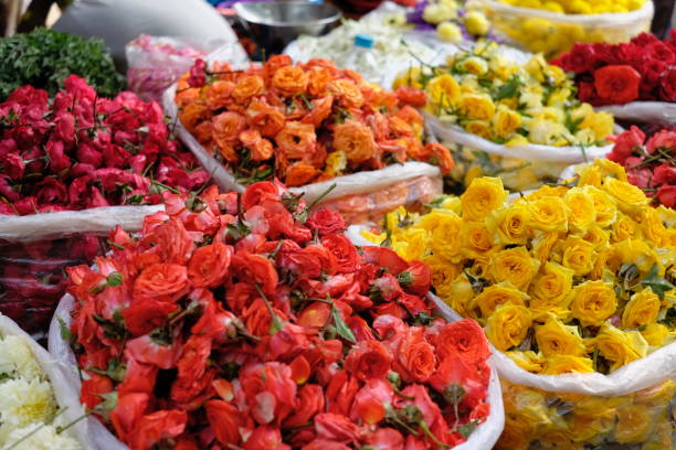 istock ROSES AT MARKET 997220776