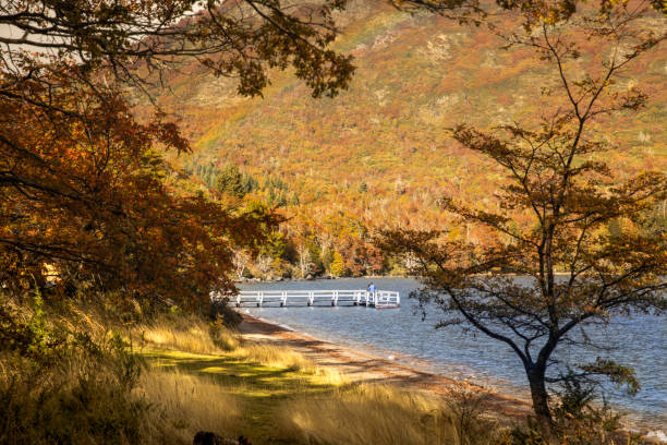 Lago Hermoso located in the Lanin National Park, province of Neuquen, Argentina.