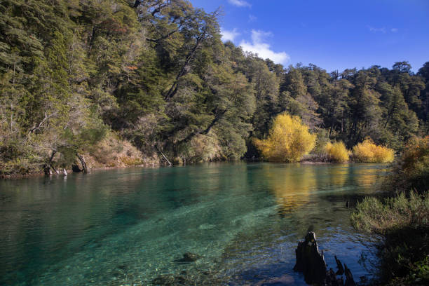 Rio Correntoso located in the Nahuel Huapi National Park, Neuquen, Argentina.