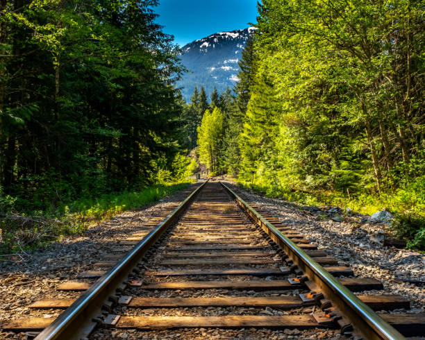 istock Train track in British Columbia forest 997283168