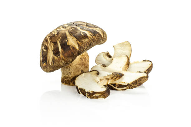 istock Fresh raw shitake mushroom isolated on white 997298820