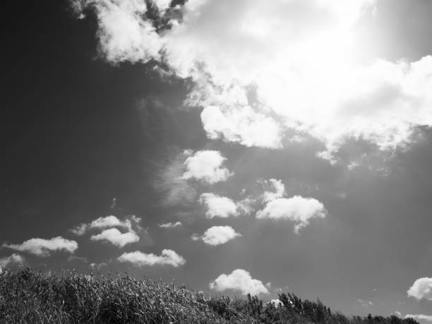 istock Tokyo's summer sky 997320016