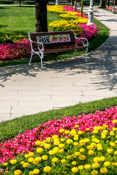 istock Flowerbed and bench in public park 997324706