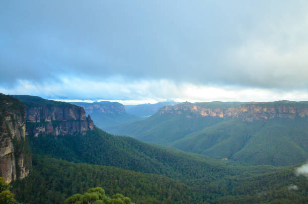 istock Beautiful Views Of Dense Forest And Mountains 997332138