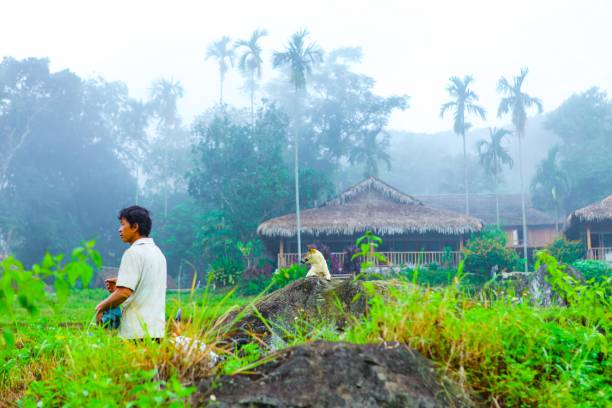 mañana en pu luong, thanh hoa, vietnam. - tsinghua fotografías e imágenes de stock