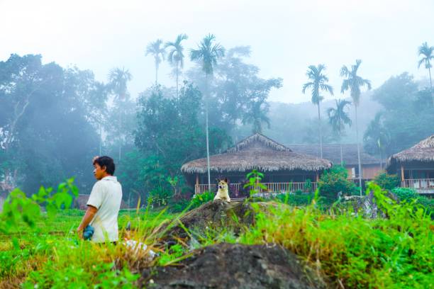 mañana en pu luong, thanh hoa, vietnam. - tsinghua fotografías e imágenes de stock