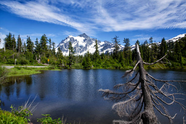 Mount Shuksan in summer, WA, USA Mount Shuksan reflection at Picture Lake. picture lake stock pictures, royalty-free photos & images