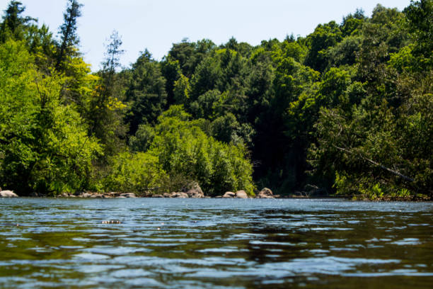 istock Beautiful Landscape On The Wolf River , Wisconsin 997354228