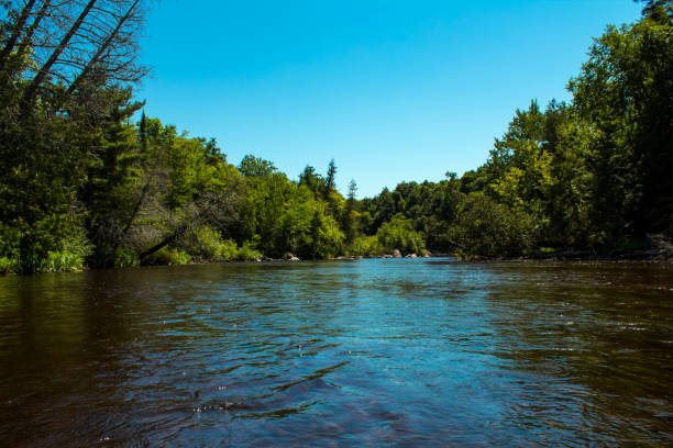 Beautiful Landscape On The Wolf River With Rocks And River weed