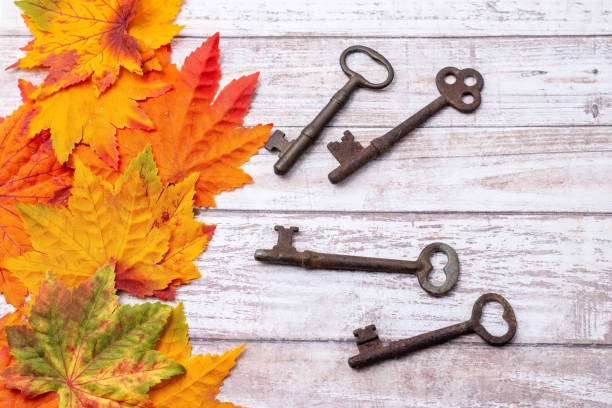 istock Old keys and leaves for harvest 997366134