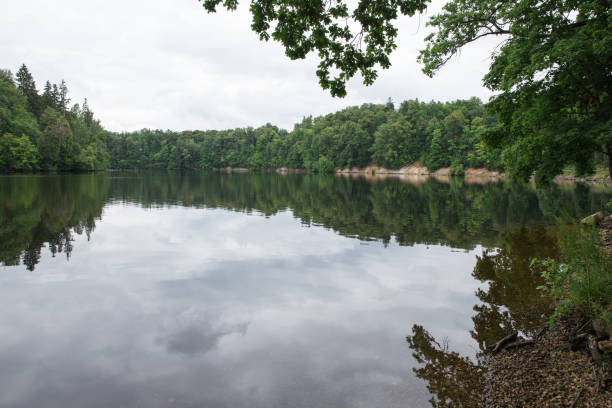 istock Old river and green trees. Ruins and reflection. Nature and sky. 997376570