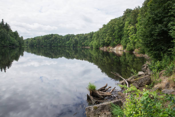 istock Old river and green trees. Ruins and reflection. Nature and sky. 997376770