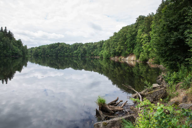 istock Old river and green trees. Ruins and reflection. Nature and sky. 997376820