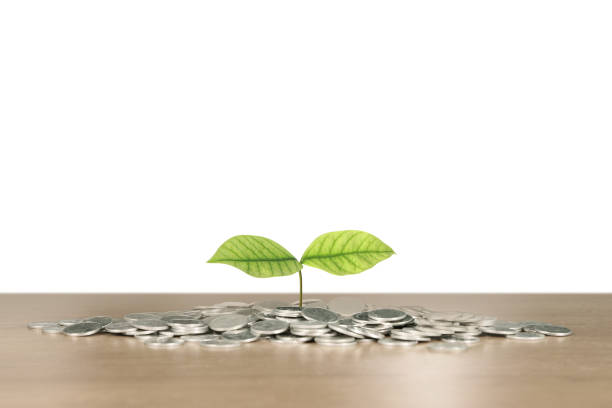 istock graph coins stock finance and business 997377188