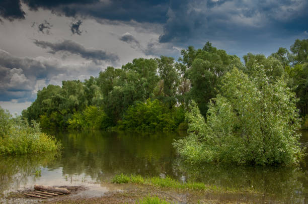 águas do dilúvio. água transbordando como resultado de uma inundação.  água de nascente alta. um dia de sol no início da primavera no rio.  céu com nuvens. paisagem de primavera. a primavera está chegando. - floodwaters - fotografias e filmes do acervo