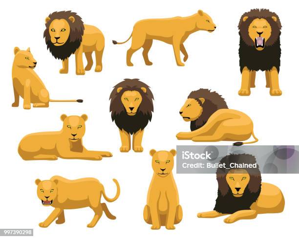 Lion And Lioness Cartoon Vector Illustration Stock Illustration - Download  Image Now - Lion - Feline, Front View, Lioness - Feline - iStock