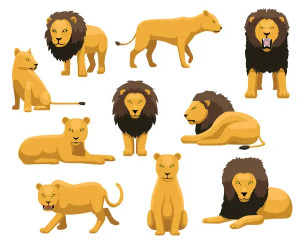 Vector illustration of Lion and Lioness Cartoon Vector Illustration