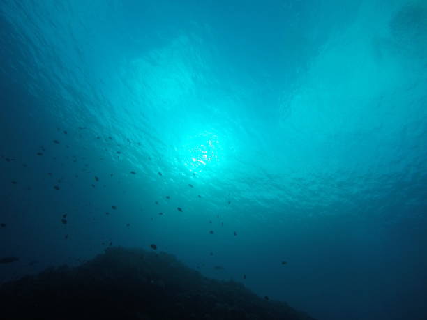 istock undersea view japan aka island 997392822