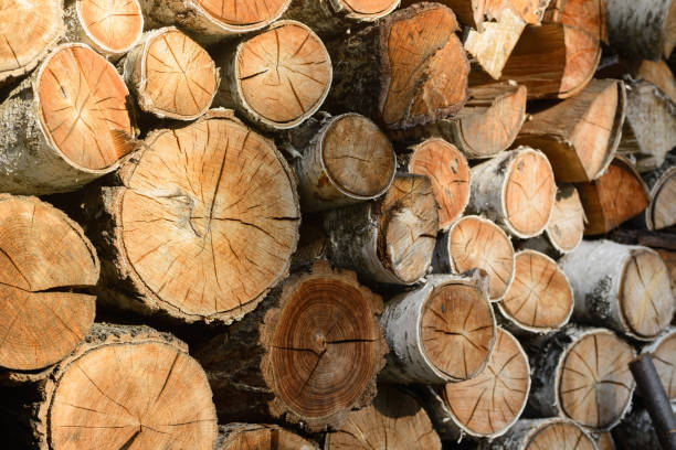 istock pile of firewood 997396300
