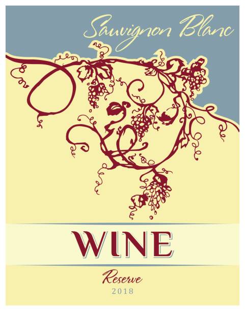 etykieta wina vintage. wektorowe pionowe banery z ręcznie rysowanymi winogronami. - cheese wine white background grape stock illustrations