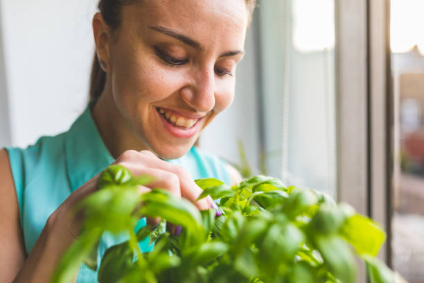 istock Woman gardening at home 997424464