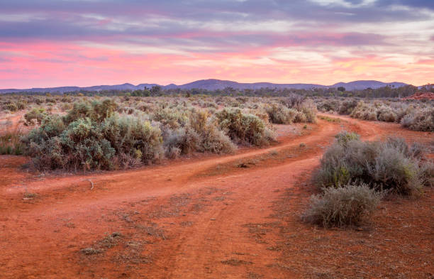 strada sterrata che attraversa le pianure desertiche fino alle catene montuose - outback desert australia sky foto e immagini stock
