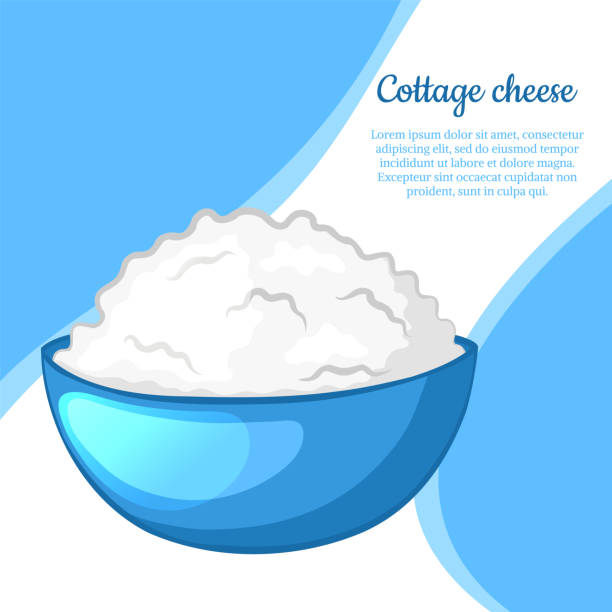 Cottage cheese in a blue bowl. Vector illustration. Vector illustration. cottage cheese stock illustrations