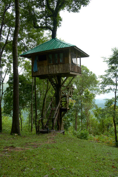 istock Treehouse in Thong Pha Phum National Park, Thailand 997457910