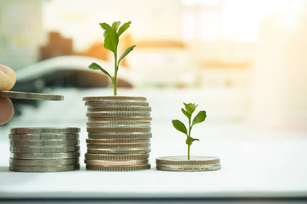 istock Coin with tree in mutual funds concept.Saving money. 997458014