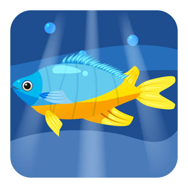 ilustrações de stock, clip art, desenhos animados e ícones de exotic tropical fish isolated on seae background. vector cartoon illustration - imperial angelfish