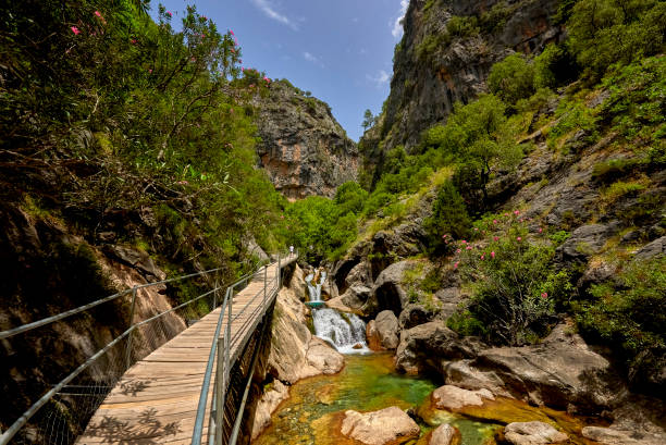 каньон сападере в горах тельца, аланья, турция - waterfall antalya turkey forest стоковые фото и изображения