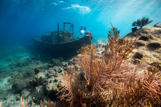 Ship wreck "Tugboat" in coral reef of Caribbean sea around Curacao stock photo