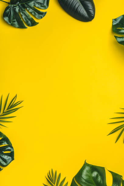 istock Tropical leaves on yellow background 997495584