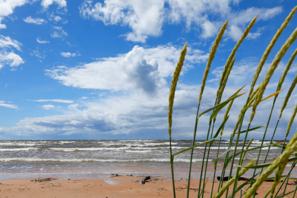 Coast between Riga and Pärnu, Latvia/Estonia