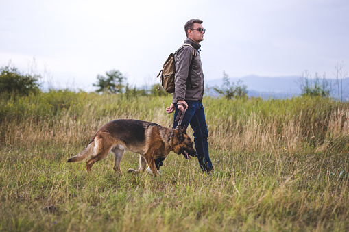 Man walking with German Shepherd