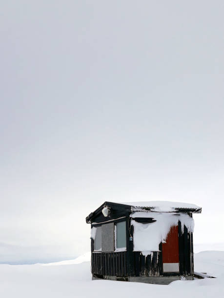 istock Cabin shining through it`s loneliness. 997519844