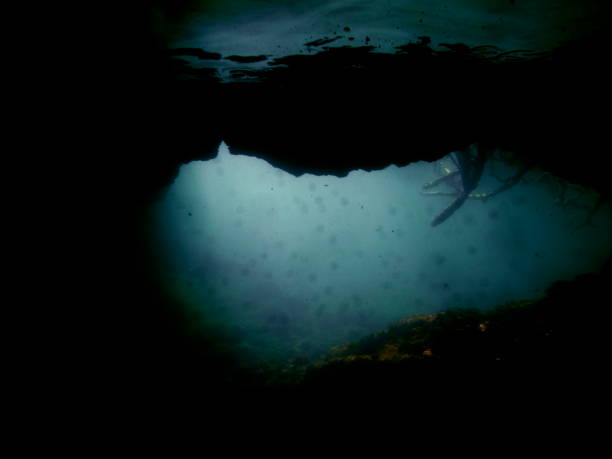 istock Underwater Cave, Los Tuneles, Isabela Island, Galapagos, Equador 997540124