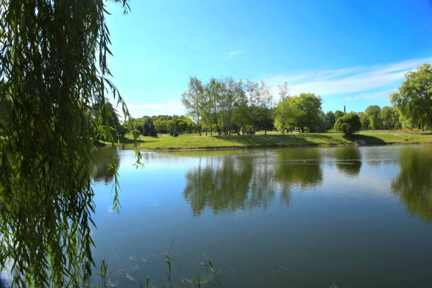 istock City park pond in summer. 997545410