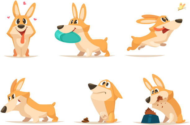 ilustrações de stock, clip art, desenhos animados e ícones de various illustrations of funny little dog in action poses - action pose portrait