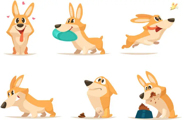 Vector illustration of Various illustrations of funny little dog in action poses