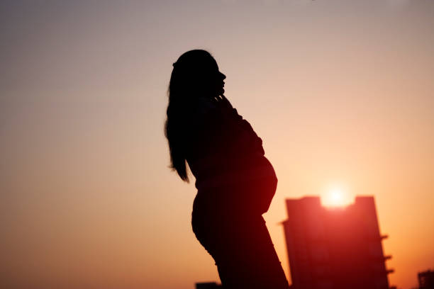 istock Pregnant women silhouette 997555316