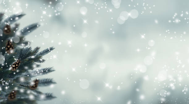 istock fir twigs in snow landscape 997563524