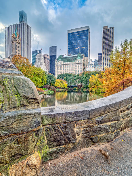 istock Gapstow bridge Central Park, New York City 997567544