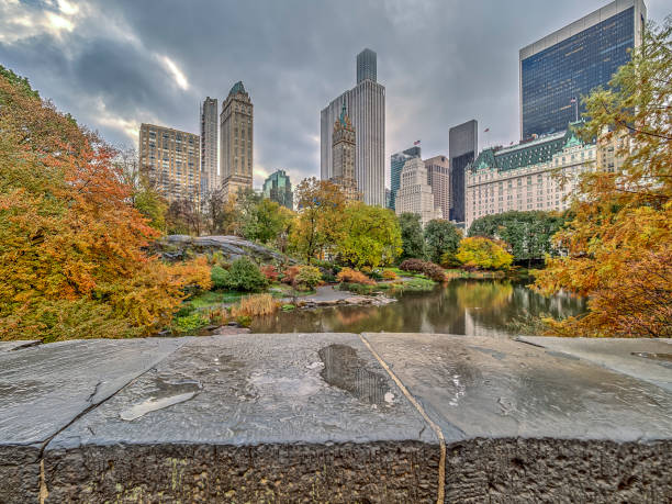 istock Gapstow bridge Central Park, New York City 997567636
