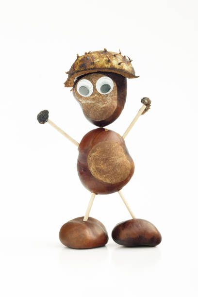 Funny human shape character or figurine made with chestnuts in white isolated background.